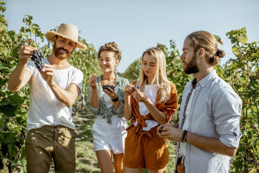 Comprehensive Wine Tour Services in Dallas​
