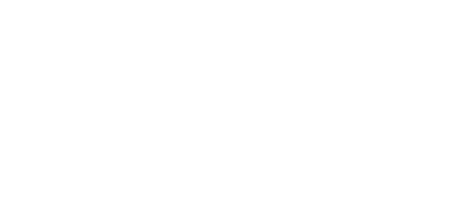 dallas party bus logo
